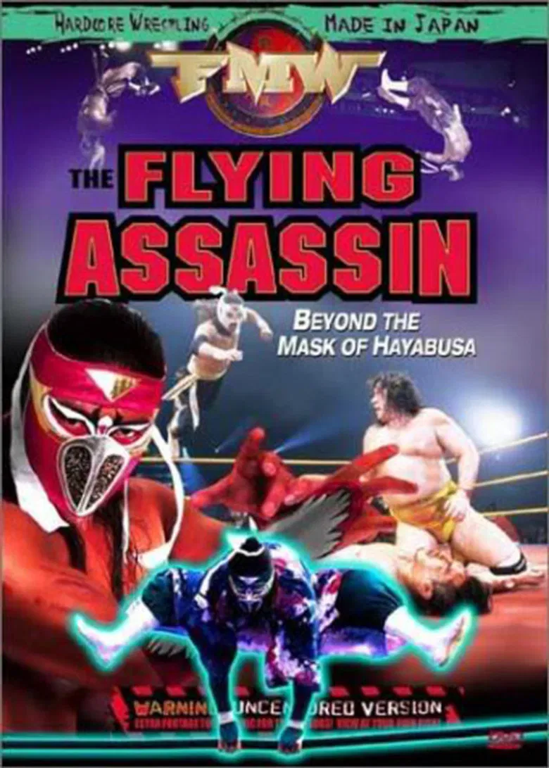 FMW Hayabusa- Flying Assassin poster background