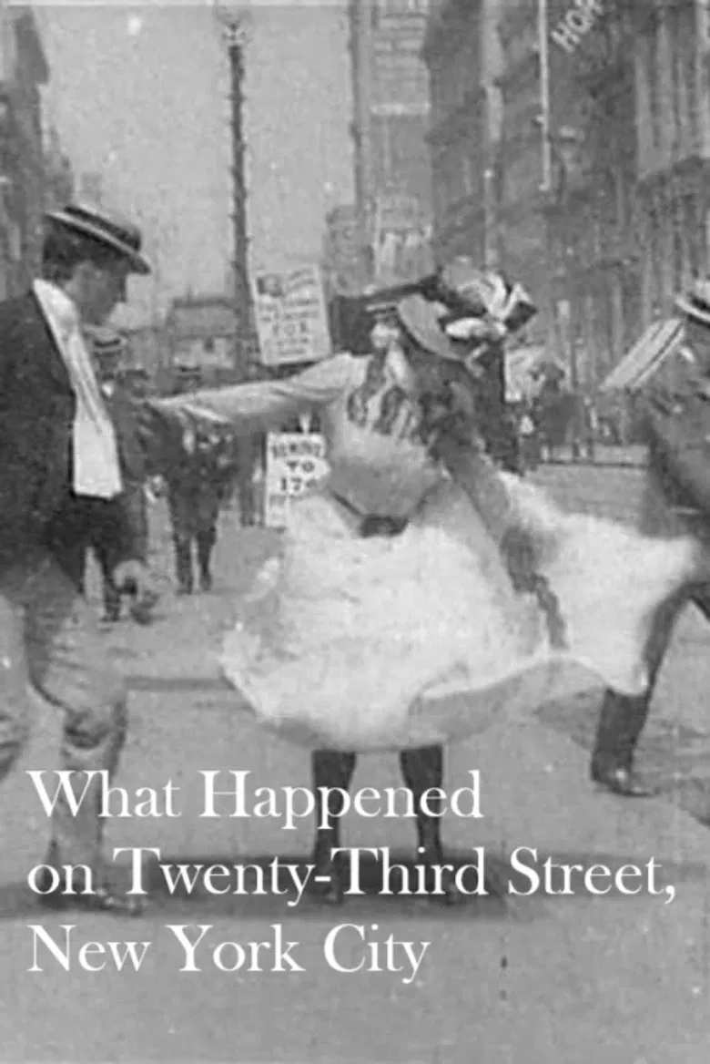 What Happened on Twenty-Third Street, New York City poster background