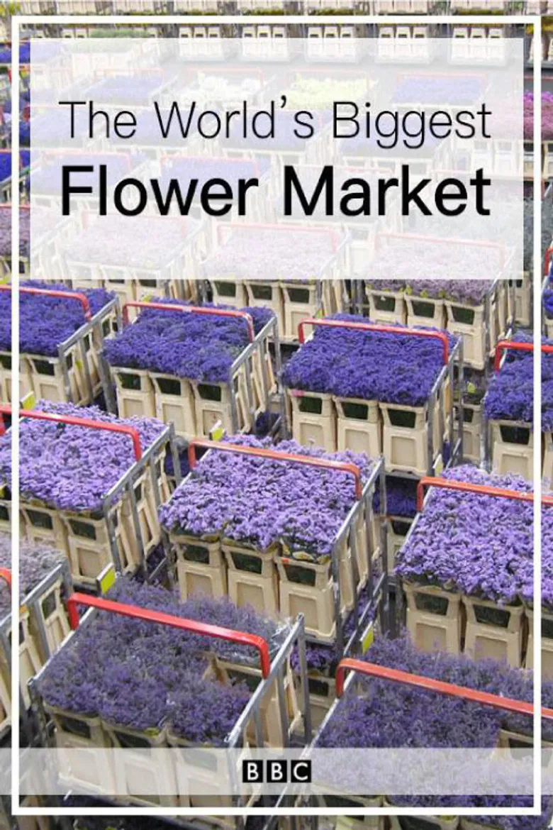 The World's Biggest Flower Market poster background