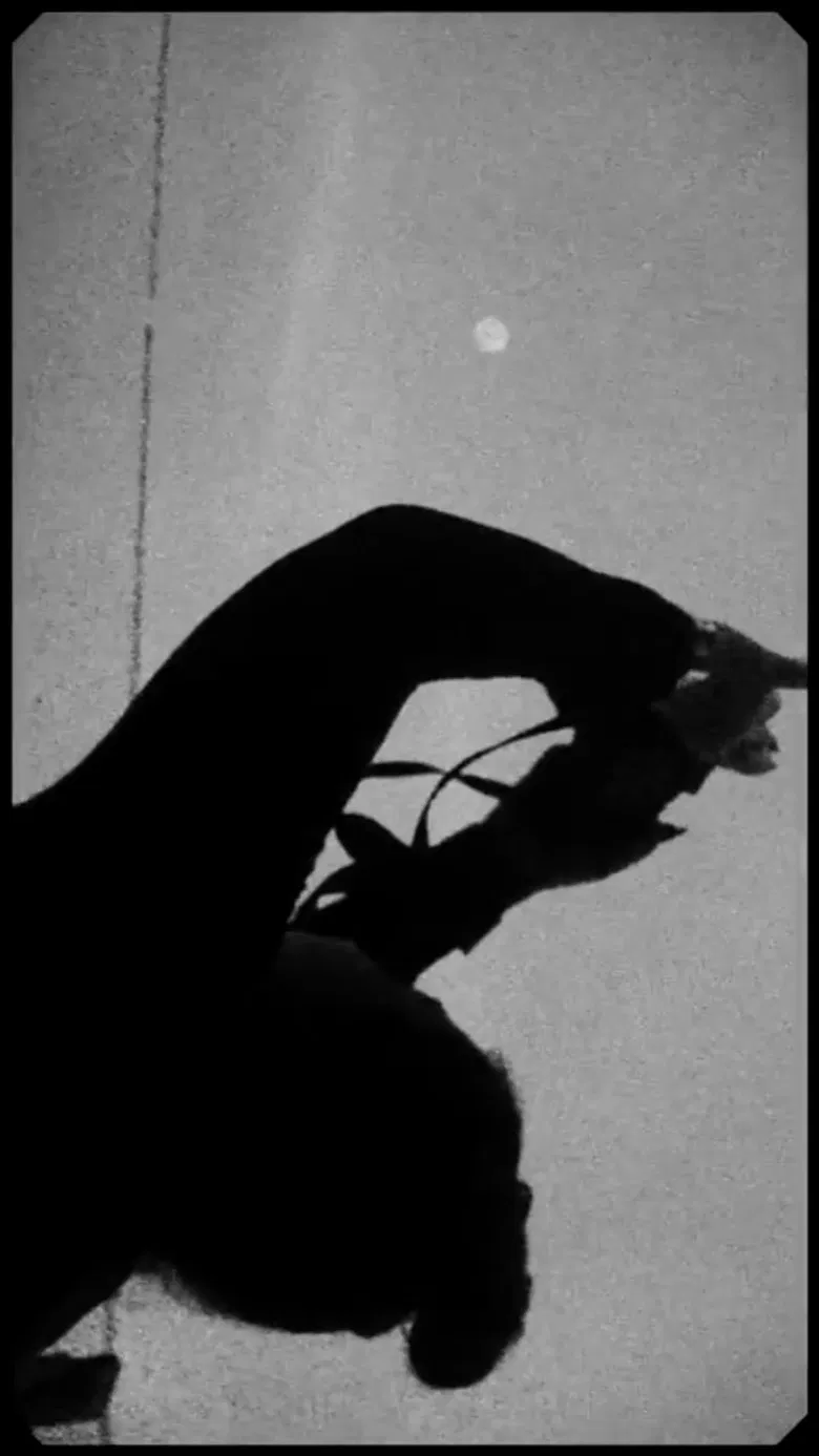 Onde morrem os sonhos poster background