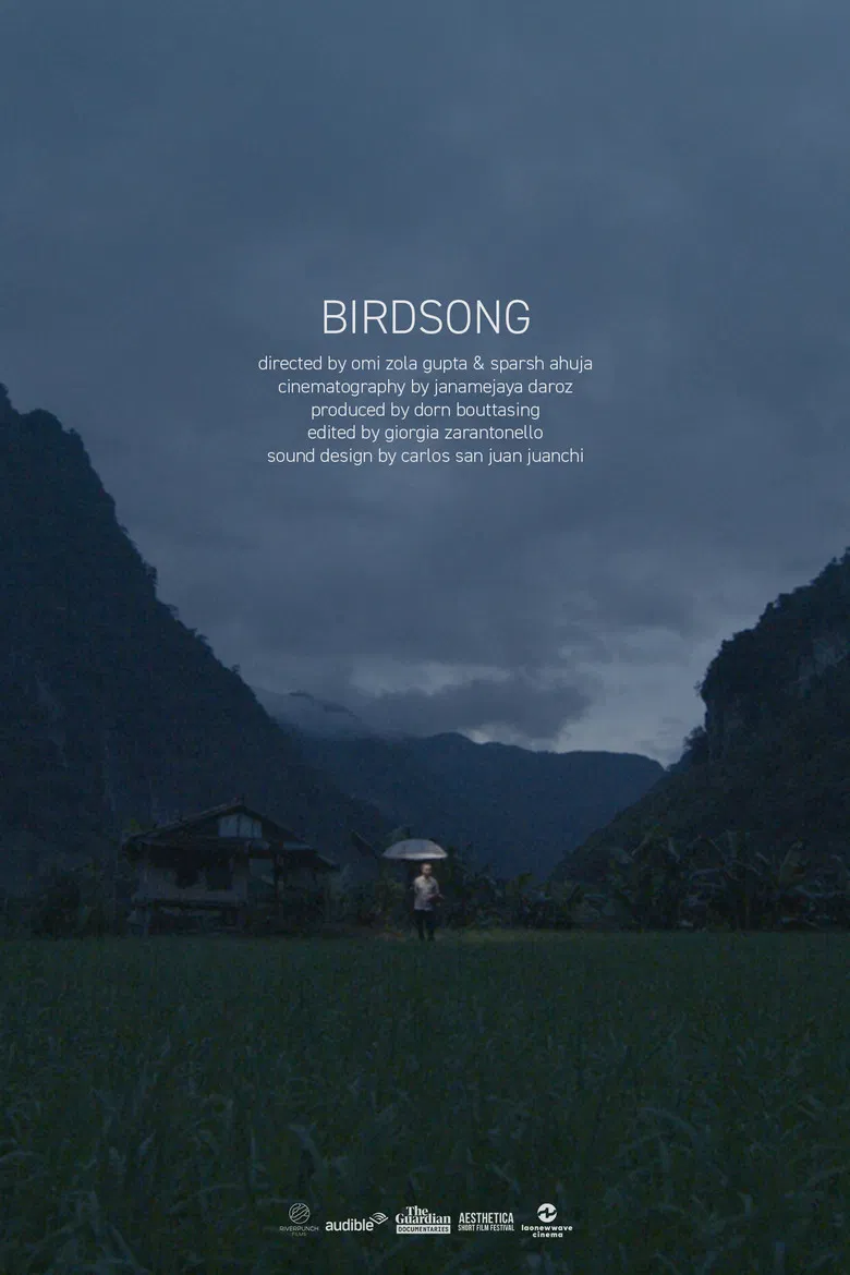 Birdsong poster background