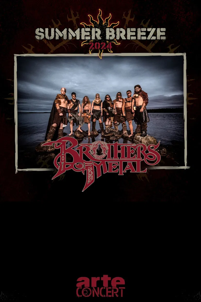 Brothers of Metal - Summer Breeze 2024 poster background