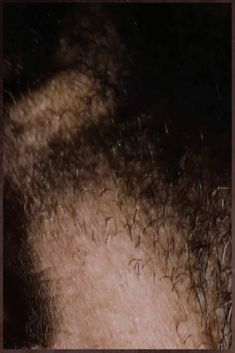 BOILK poster background