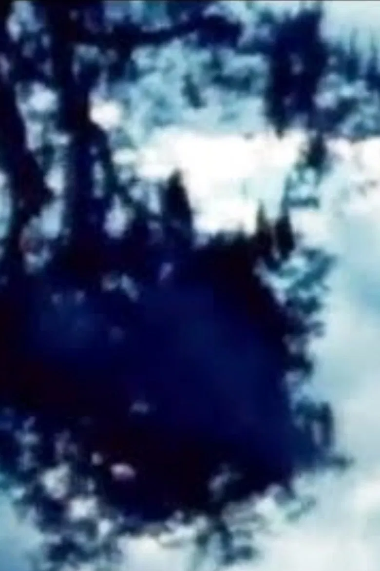 Two Songs poster background