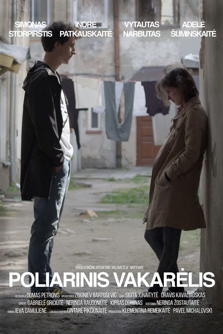 Polar Party poster background