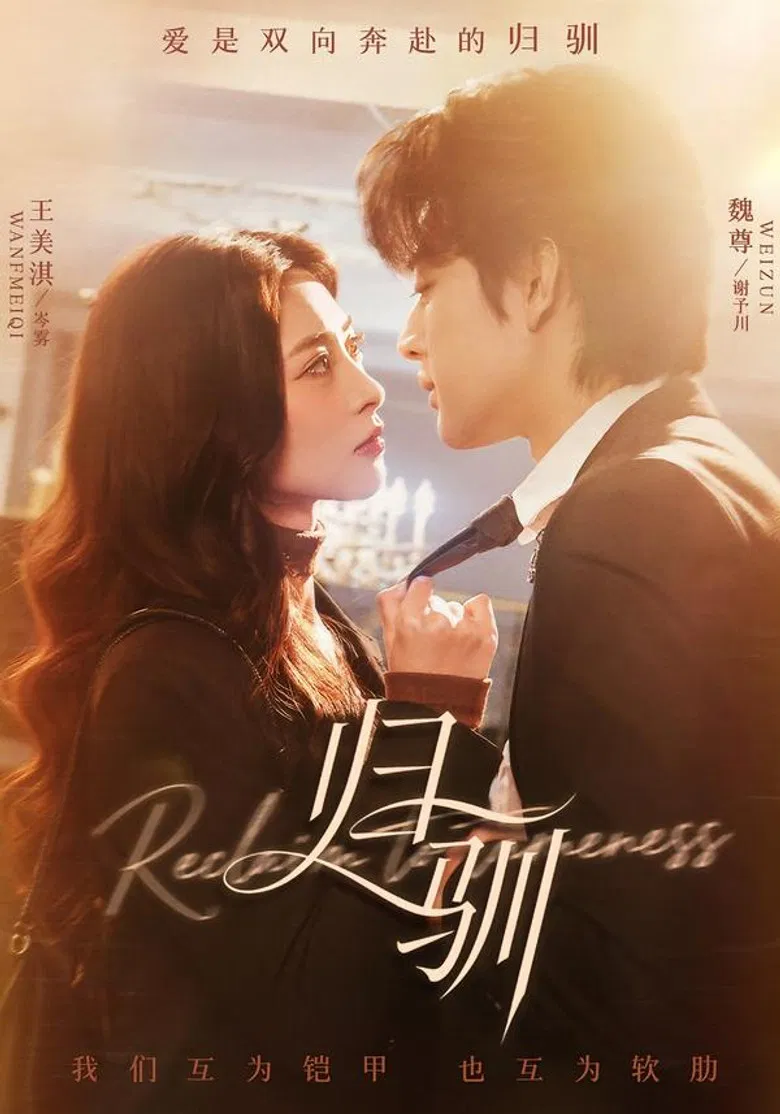 归驯 poster background