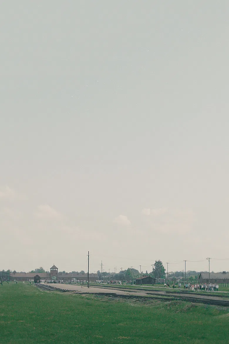 La Visite poster background