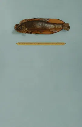 Fish Story poster background