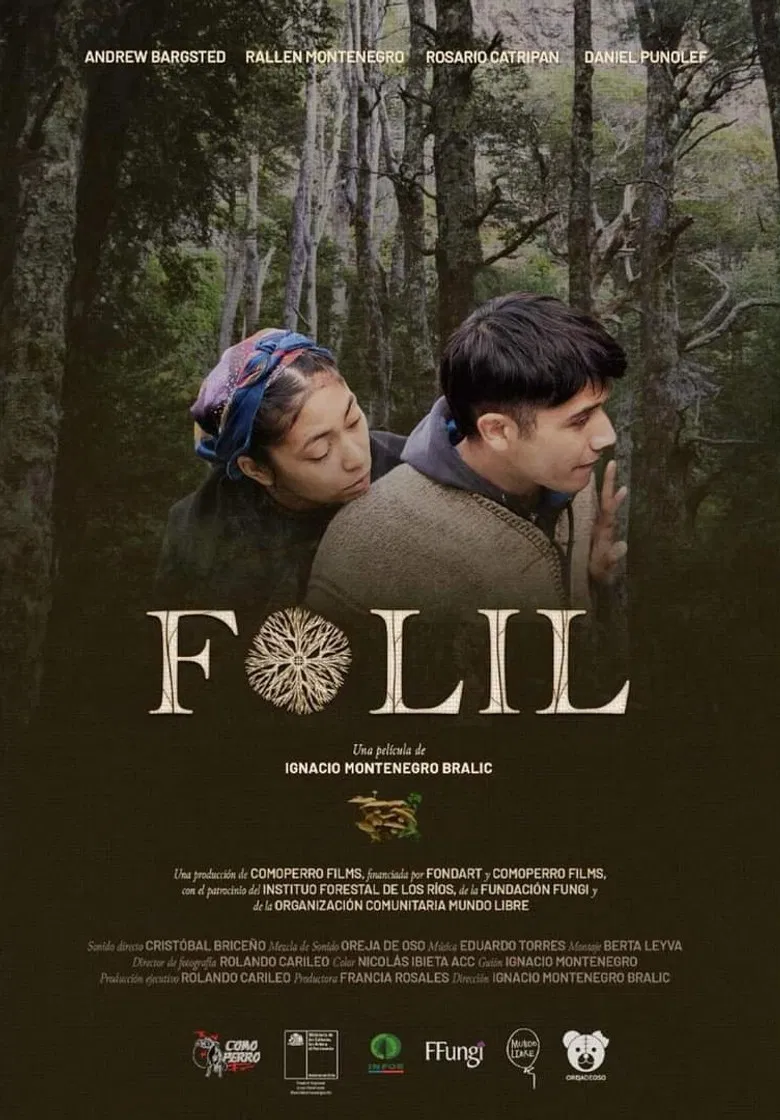 Folil poster background