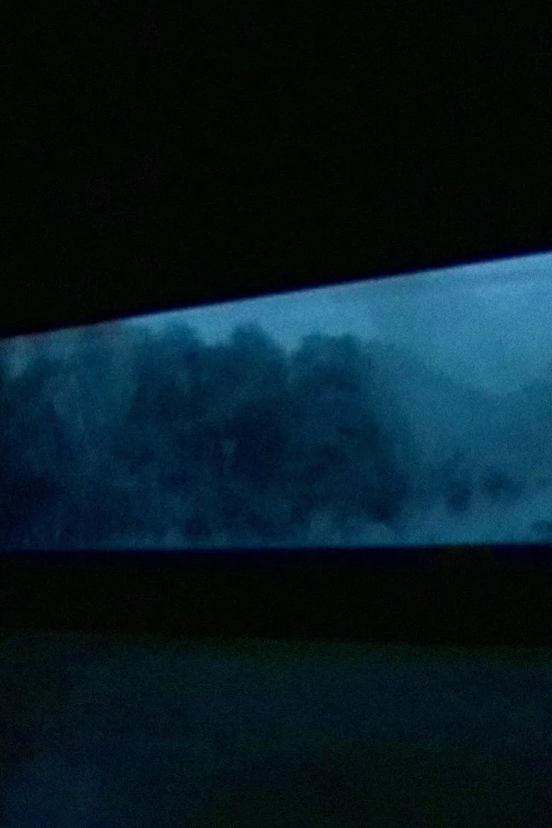 Petite Mèmoire poster background