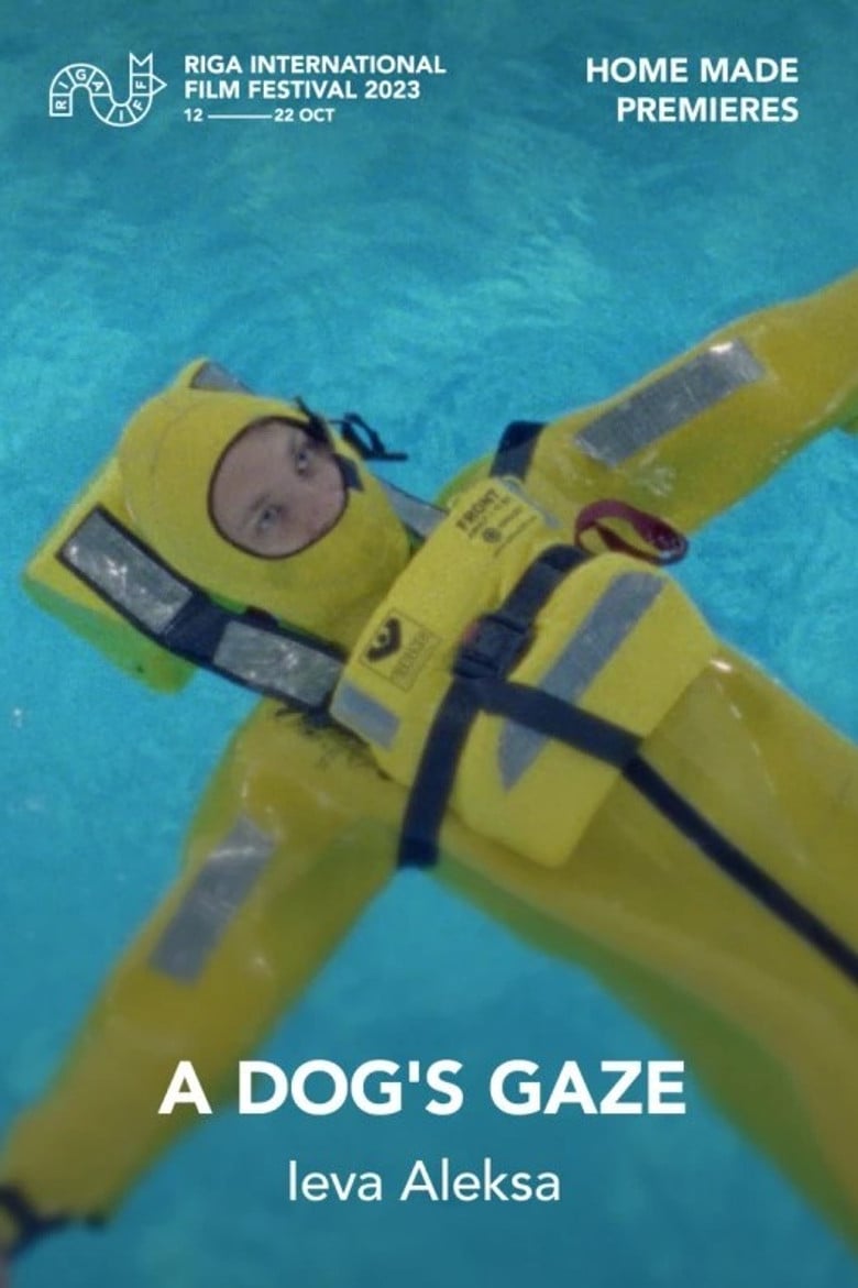 Dog's Gaze poster background