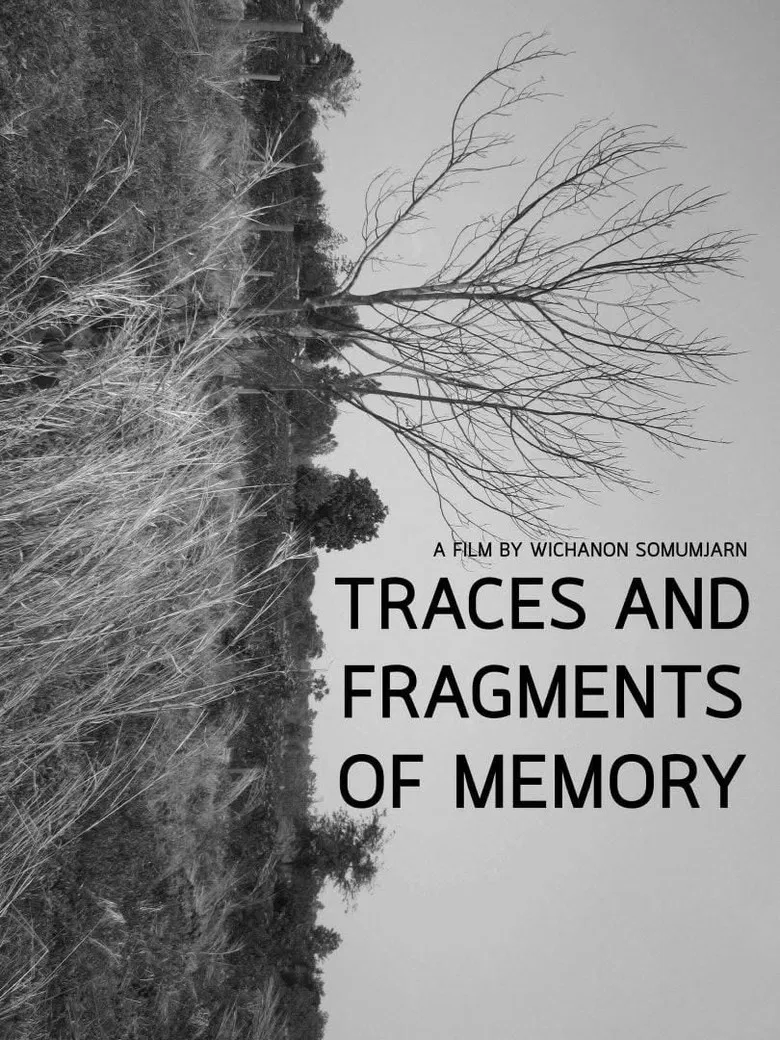 Traces and Fragments of Memory poster background