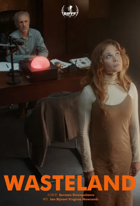 Wasteland poster background