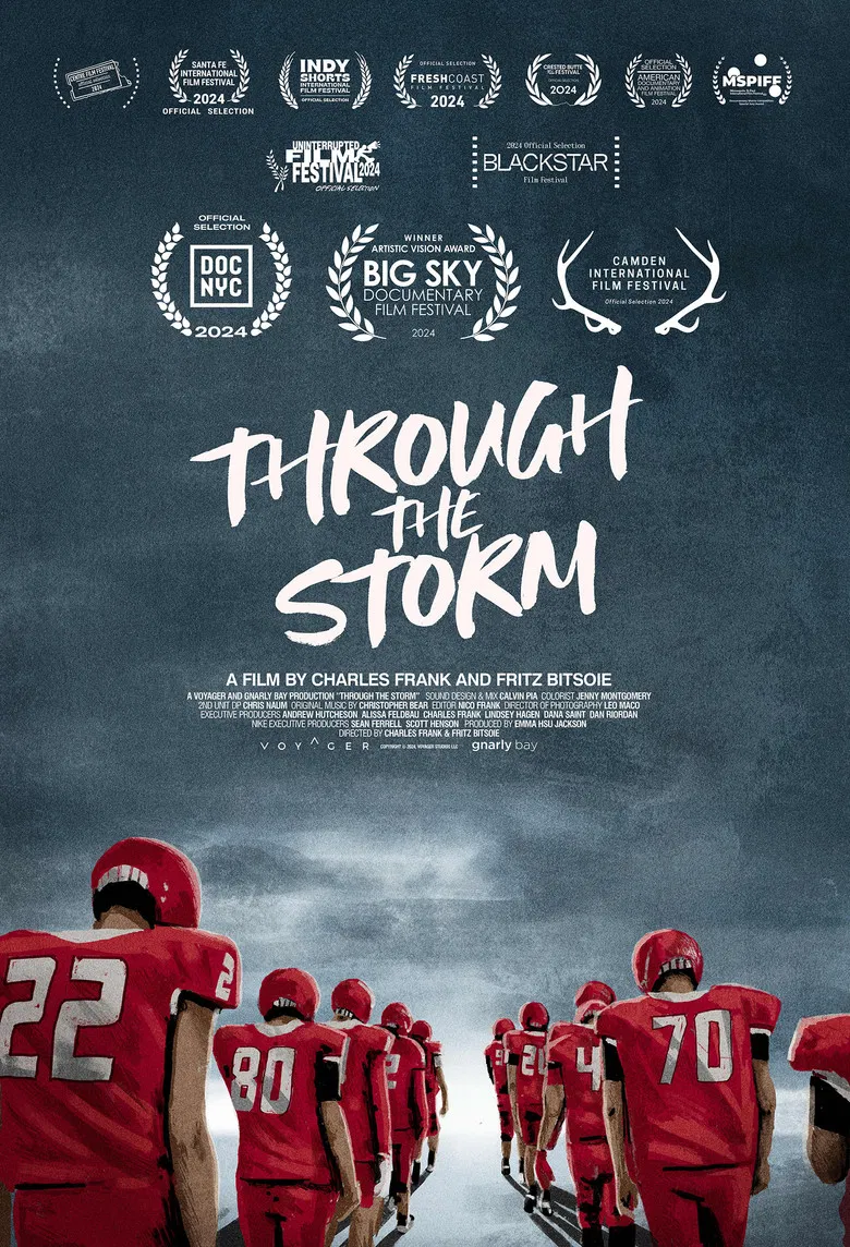 Through the Storm poster background