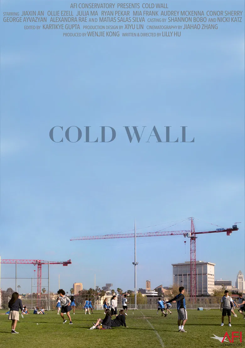 Cold Wall poster background