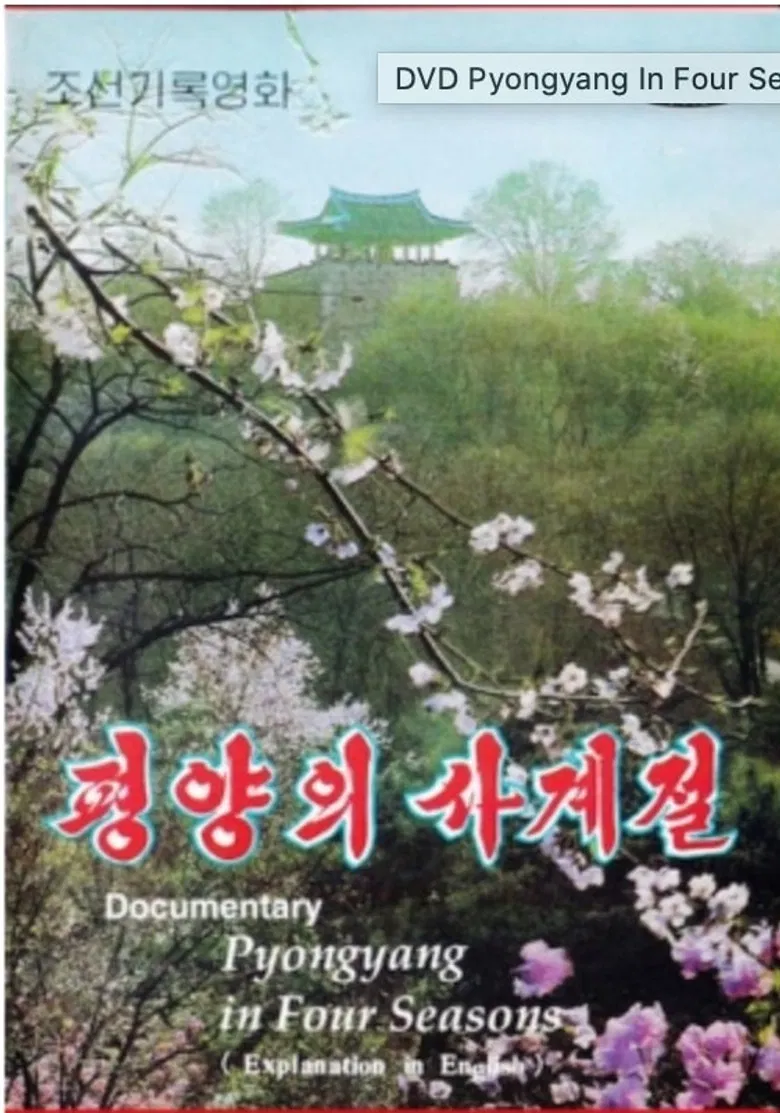 Pyongyang in Four Seasons poster background