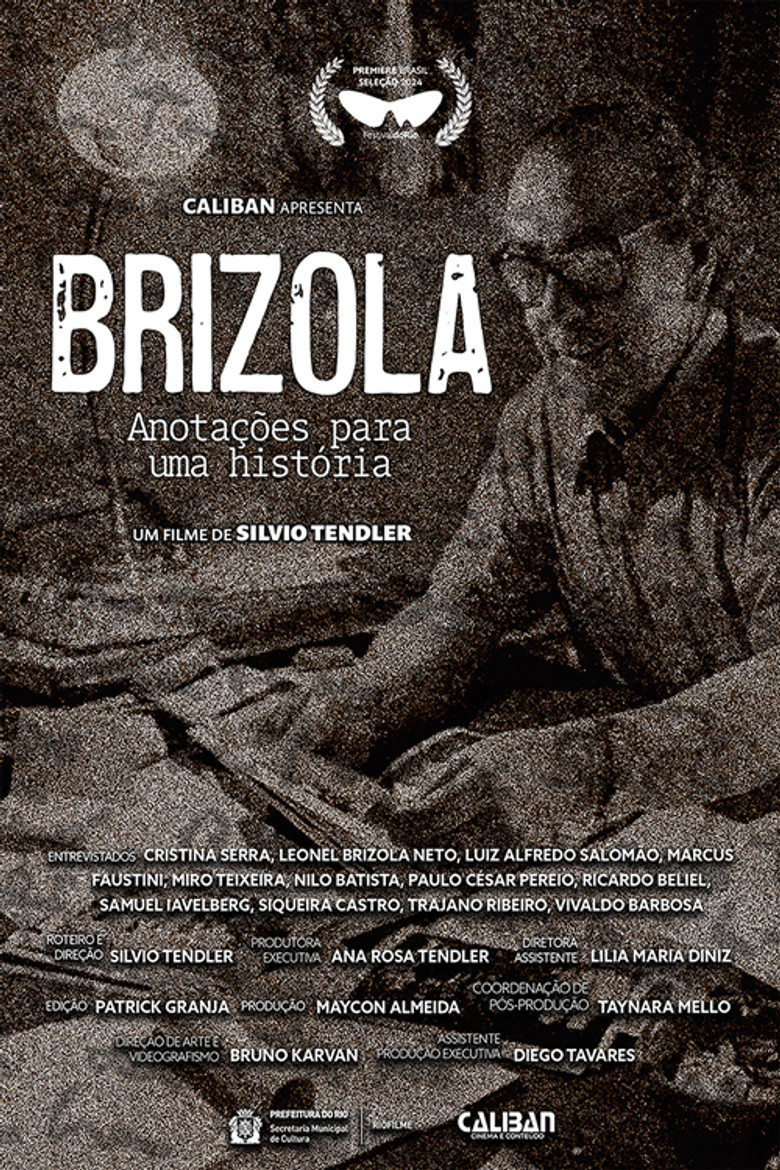 Brizola, Anotações para uma História poster background