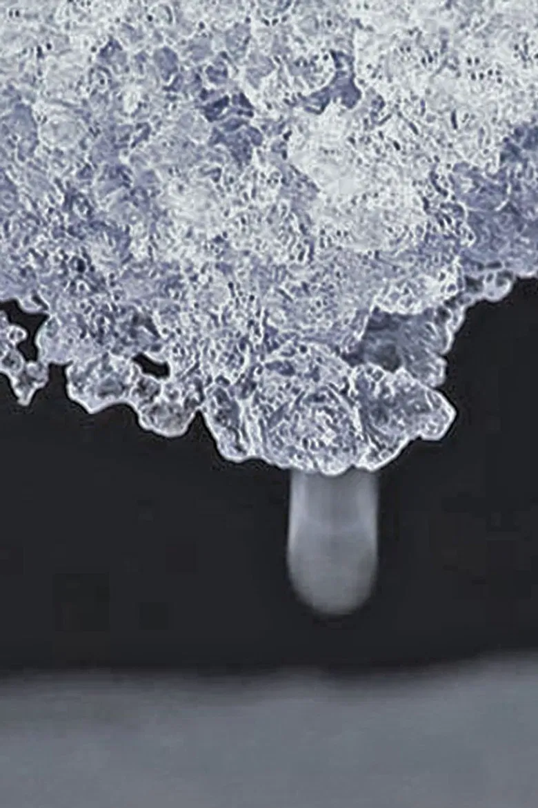 Evanescence poster background