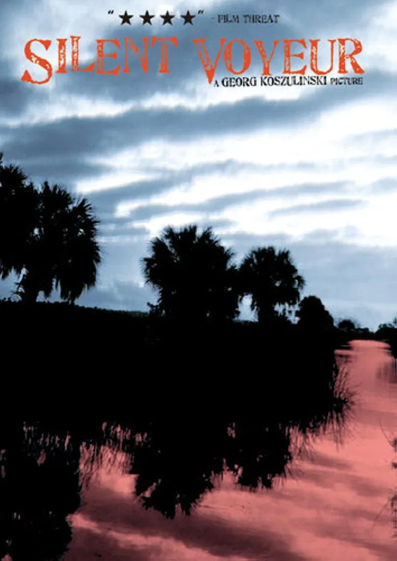 Silent Voyeur poster background