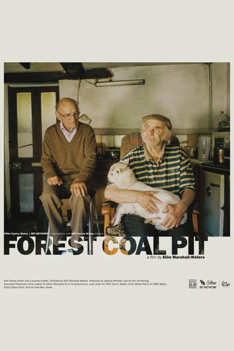Forest Coal Pit poster background