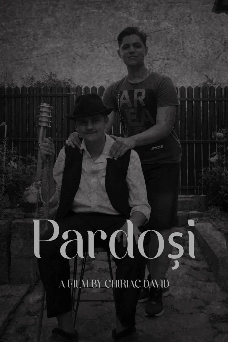 Pardoși poster background
