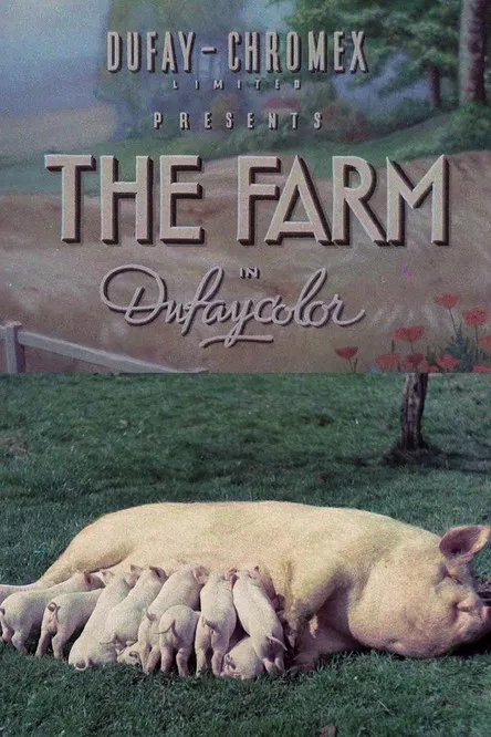 The Farm poster background