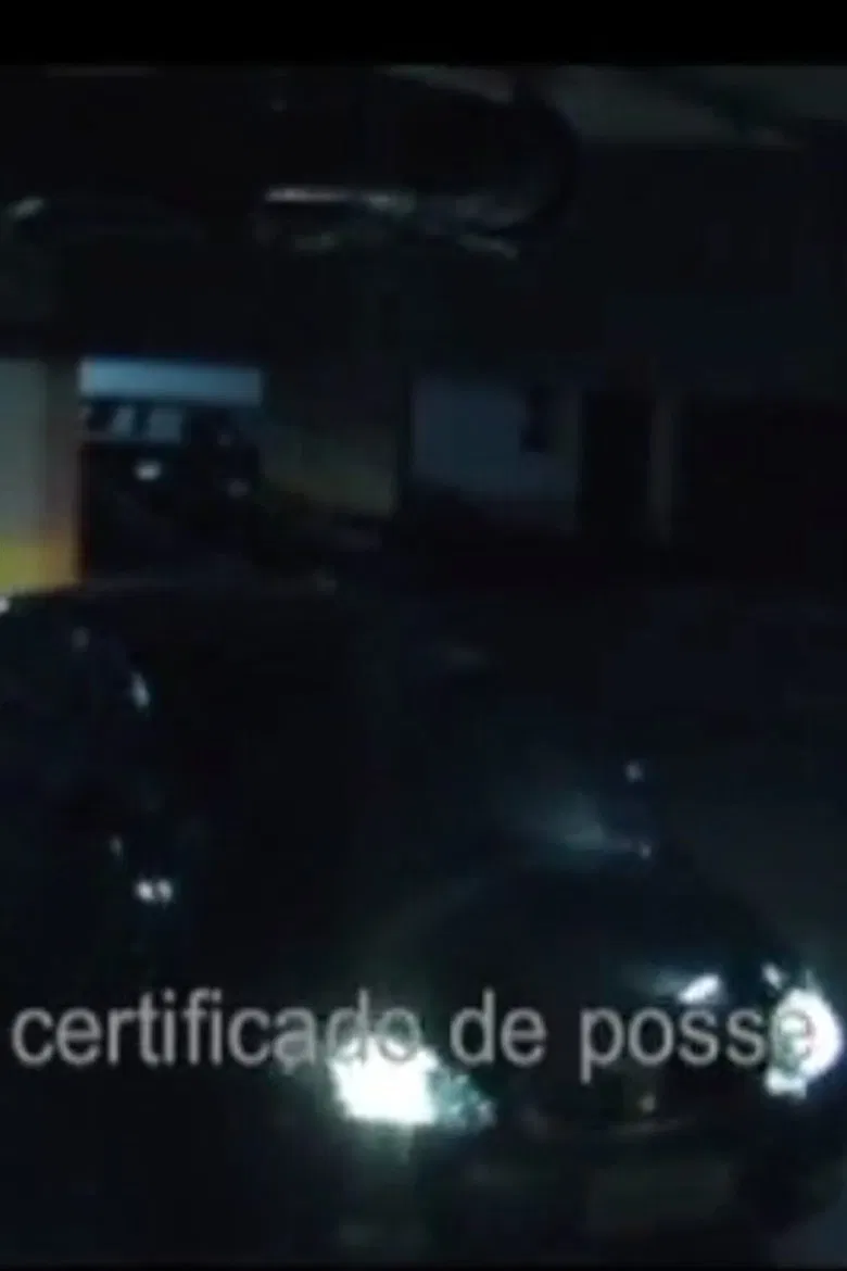 Certificado de Posse poster background