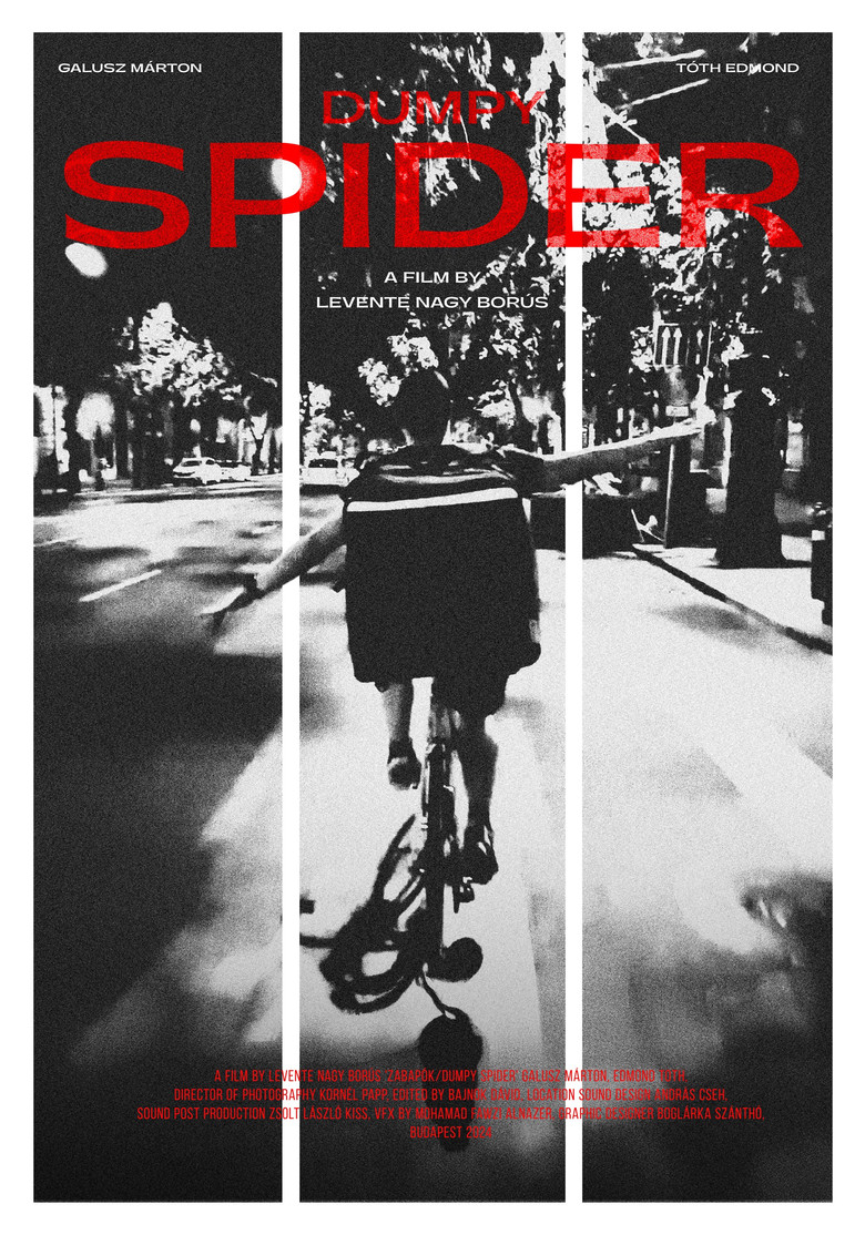 Dumpy Spider poster background