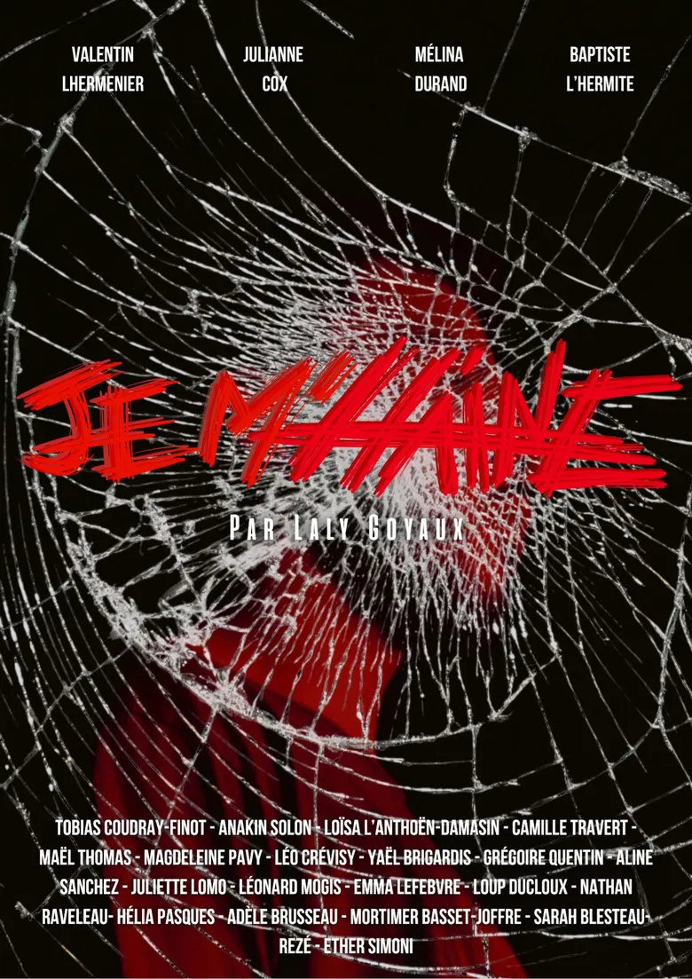 Je m'Haine poster background