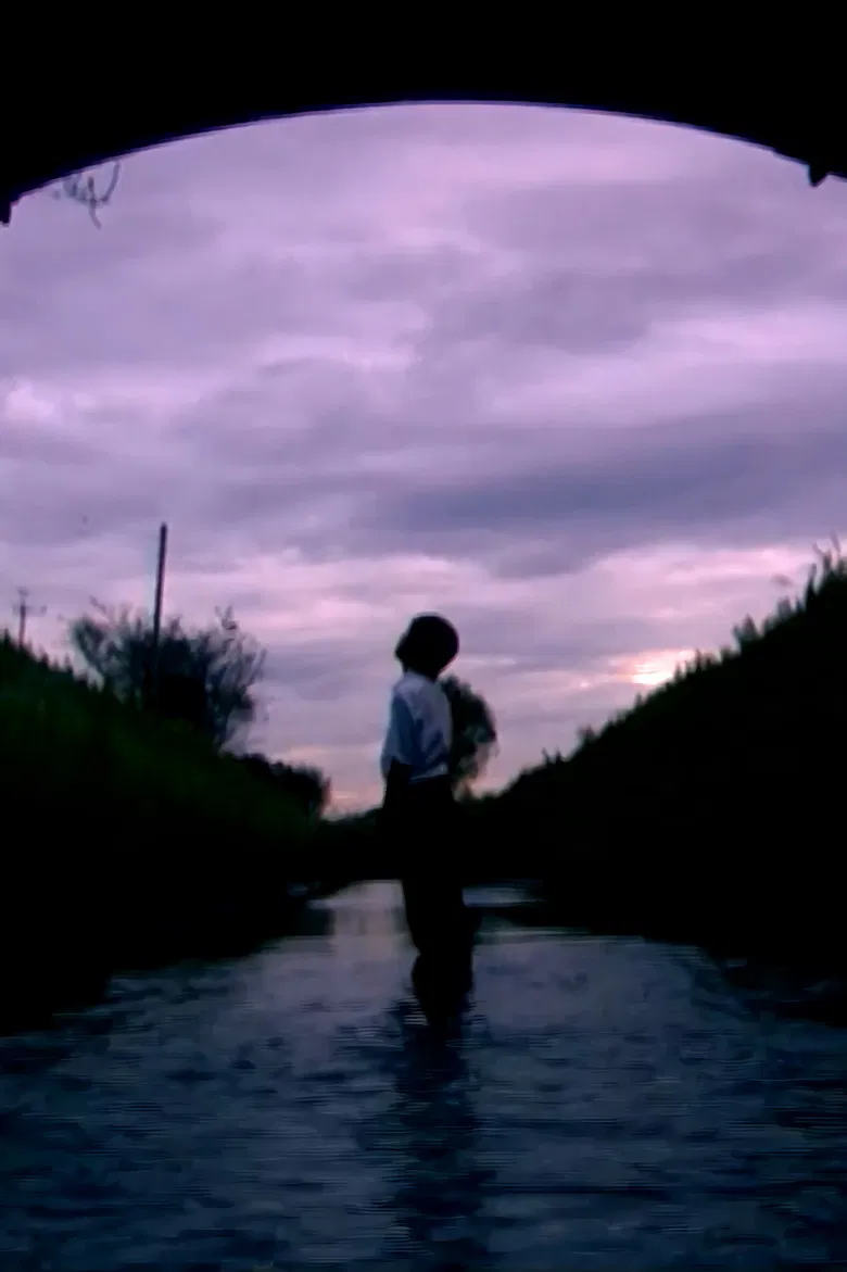 Blink poster background