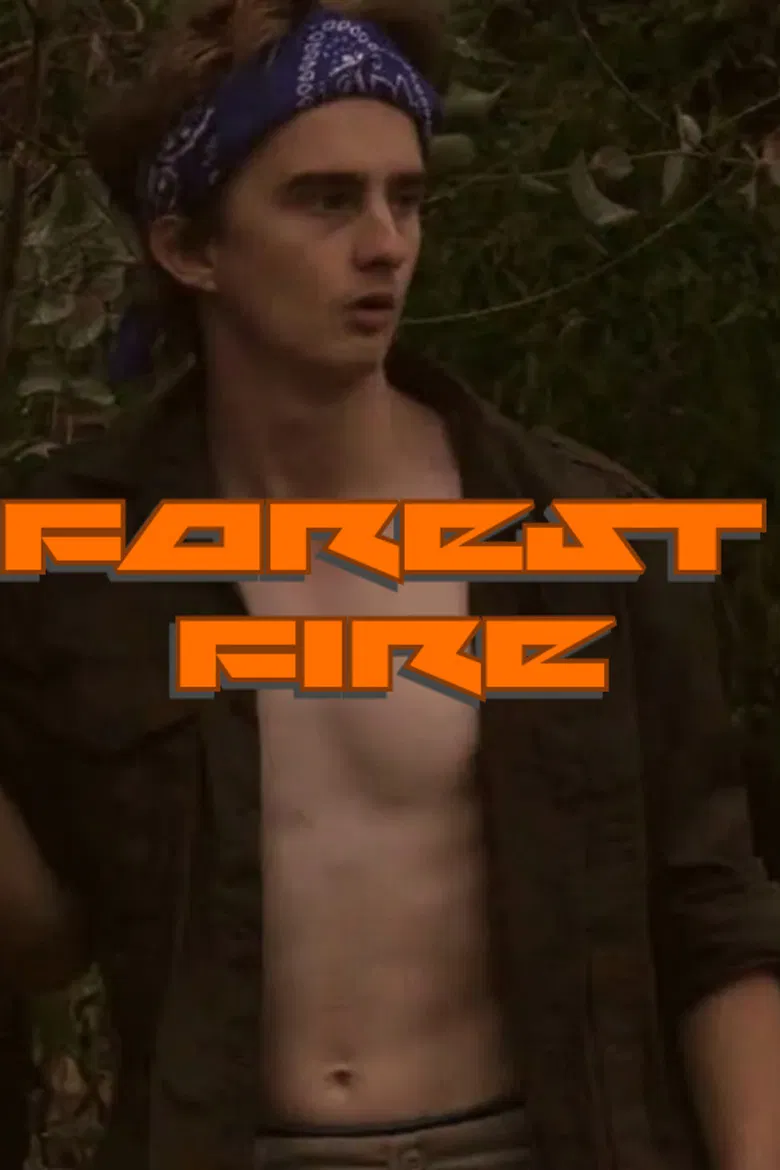 Forest Fire poster background