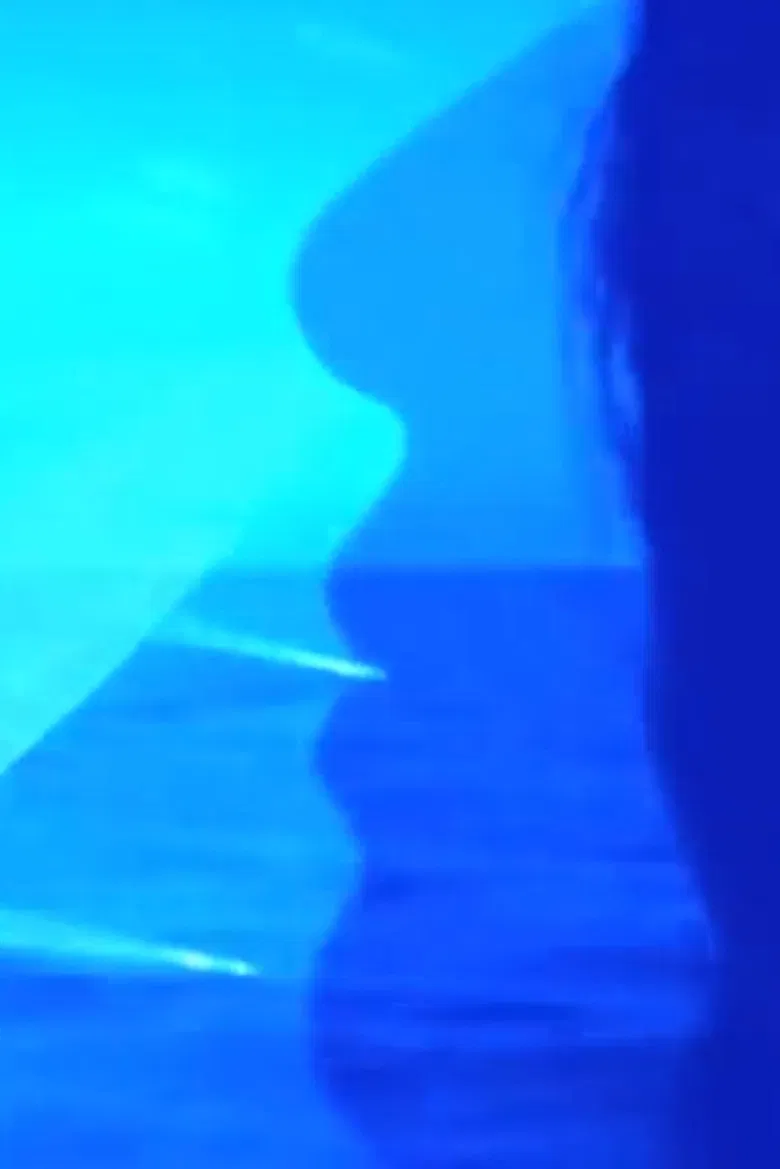 Novaeangliae poster background