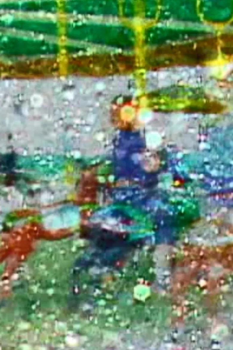 Jour de reve poster background