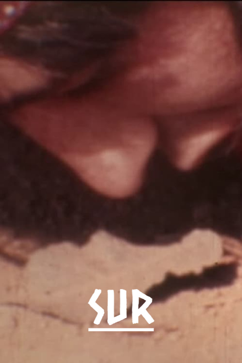 South poster background