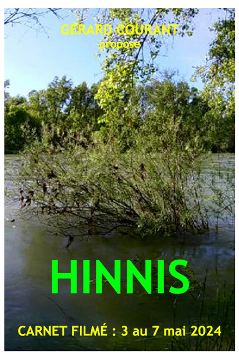 Hinnis poster background