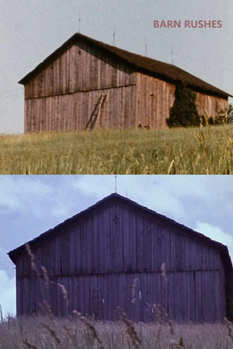 Barn Rushes poster background