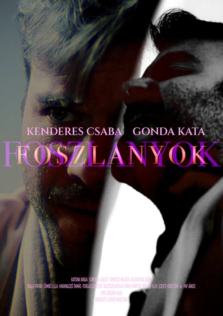 FOSZLÁNYOK poster background