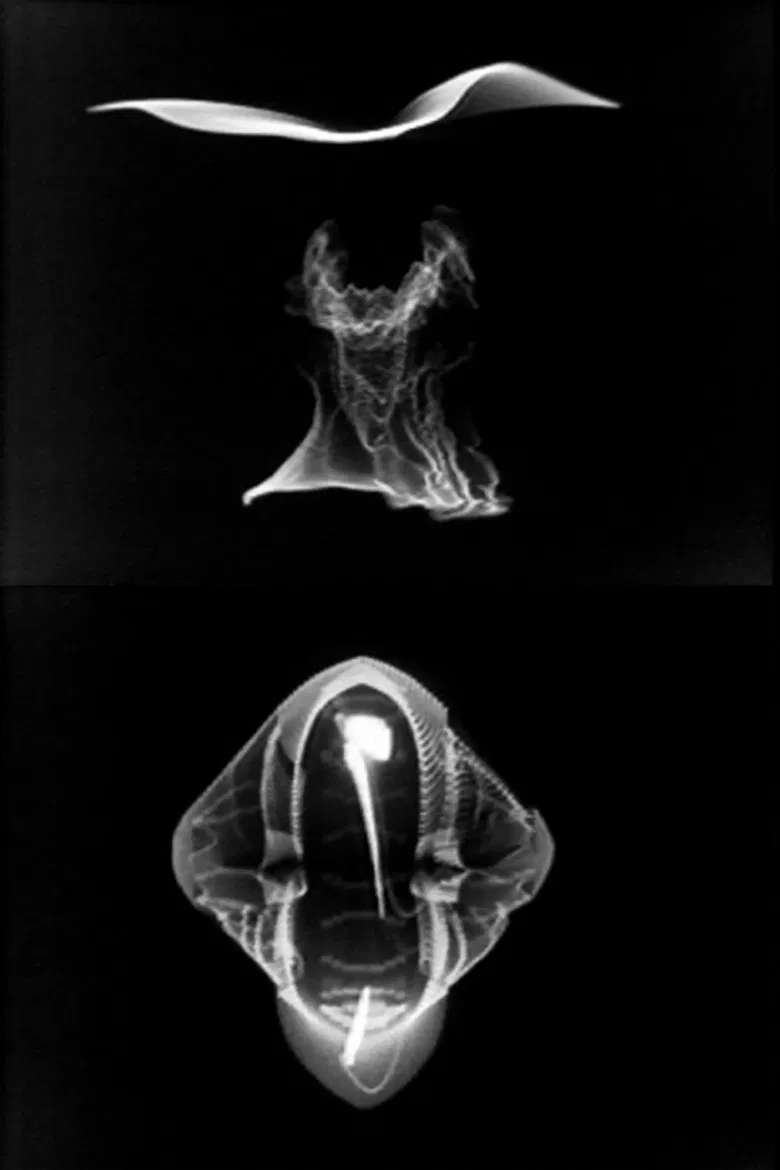 Videograms poster background