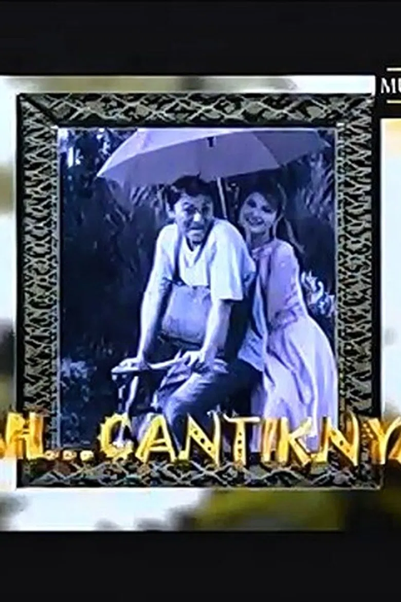 So Pretty poster background