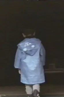 Missing Child Videotape poster background