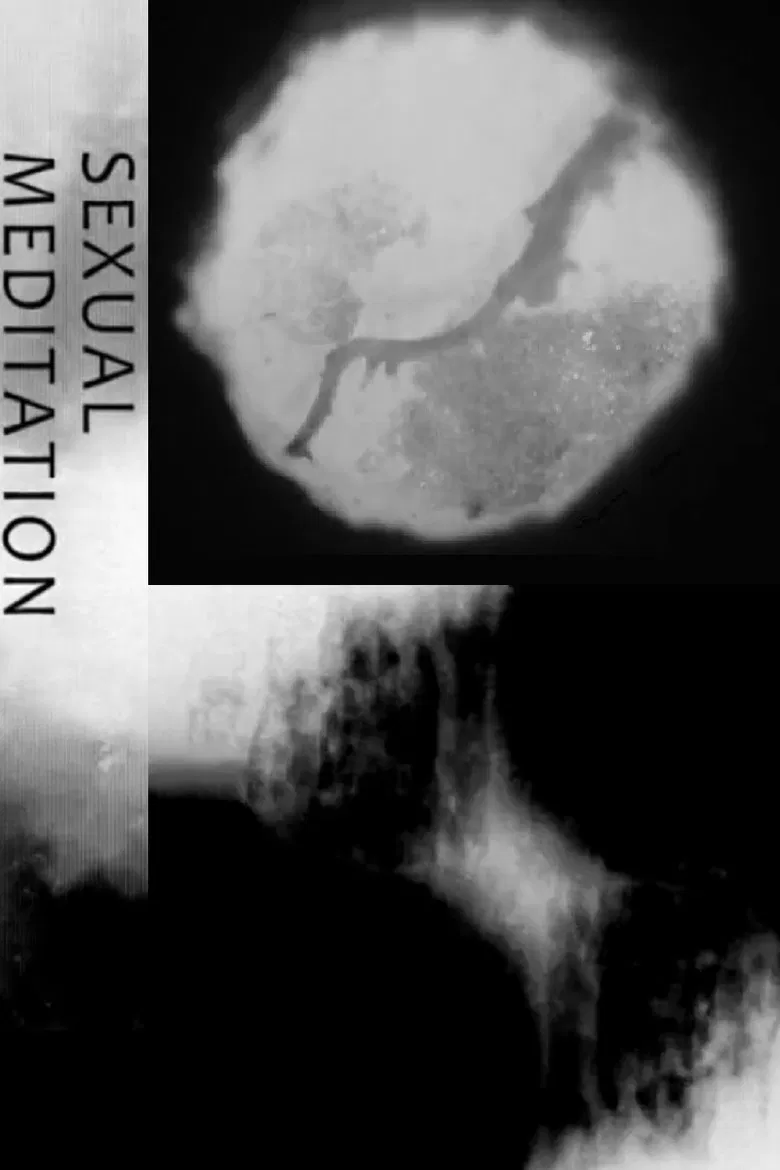 Sexual Meditation poster background