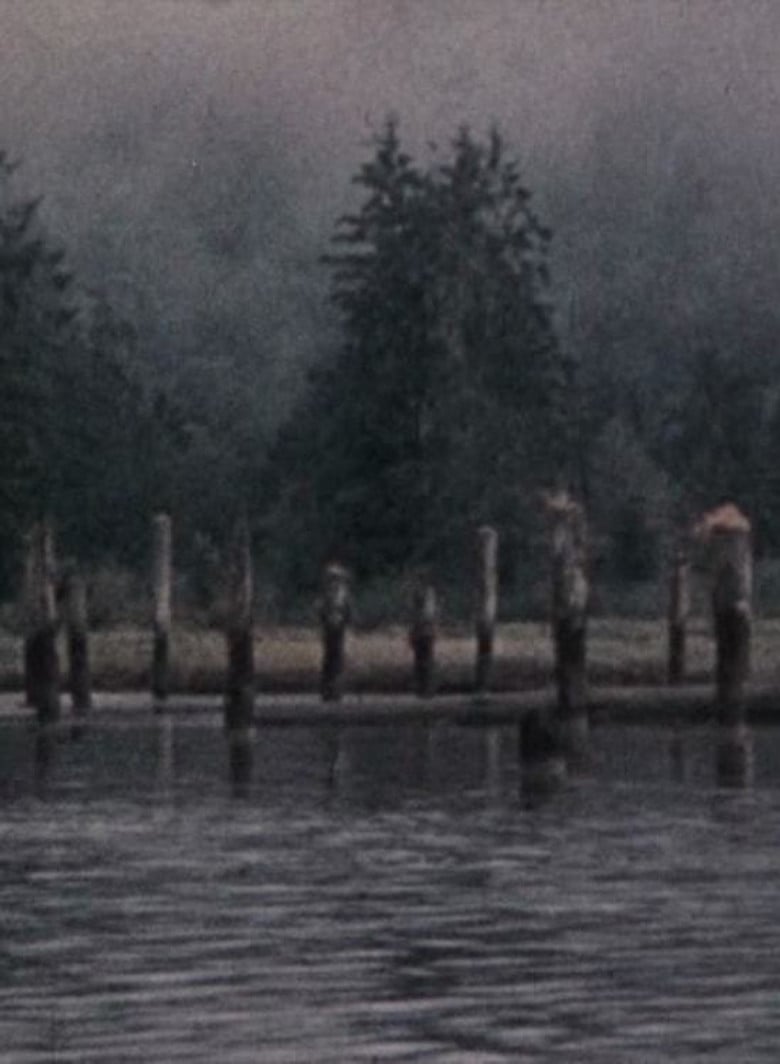 Narrows Inlet poster background