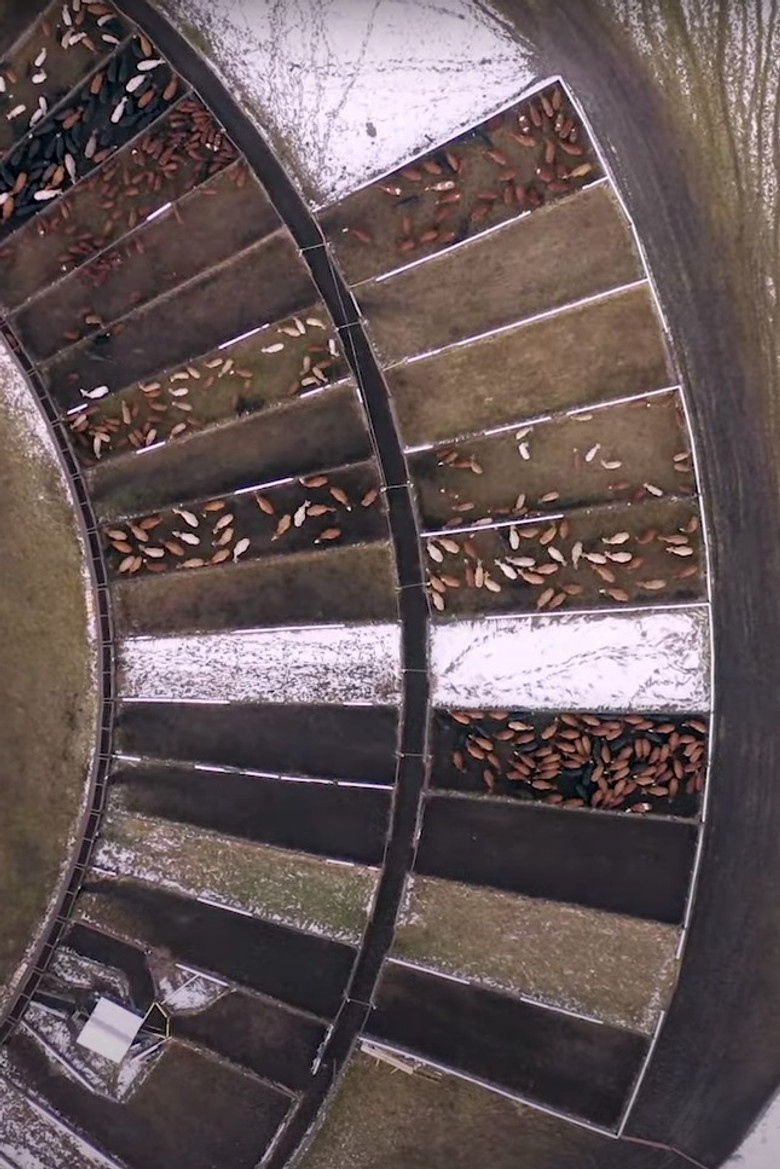 Roundup poster background