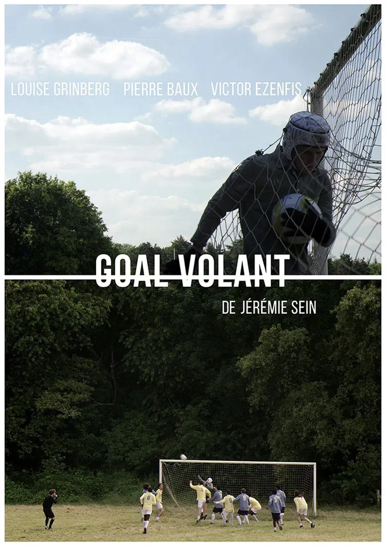 Goal Volant poster background