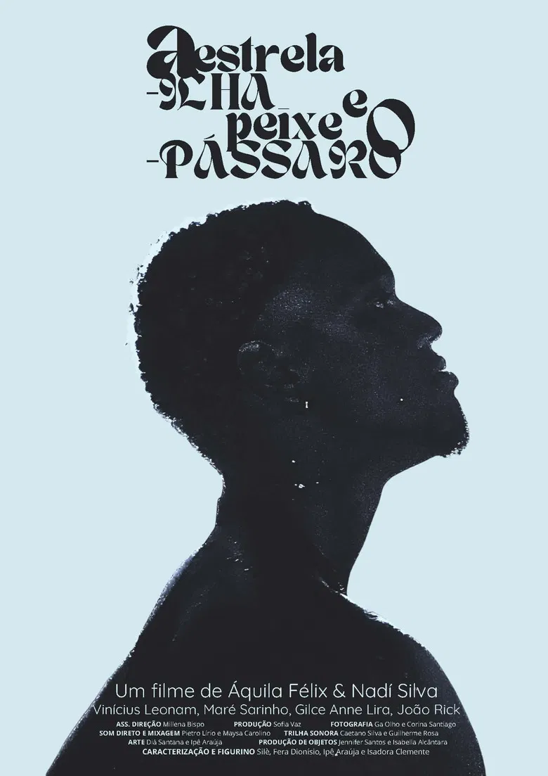 A Estrela-ilha e o Peixe-pássaro poster background