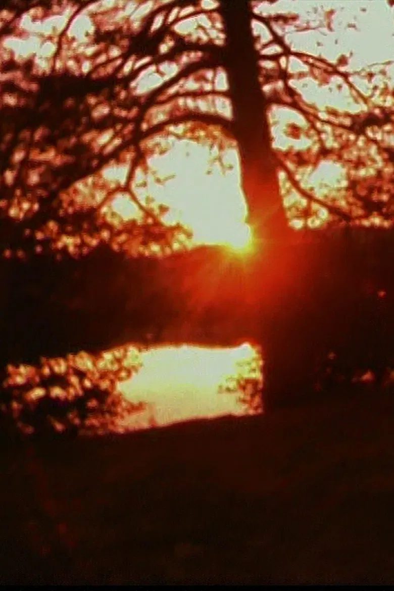 Imaginary Friend poster background