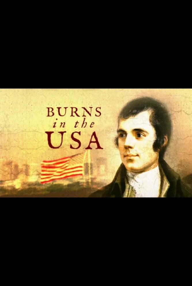 Burns in the USA poster background