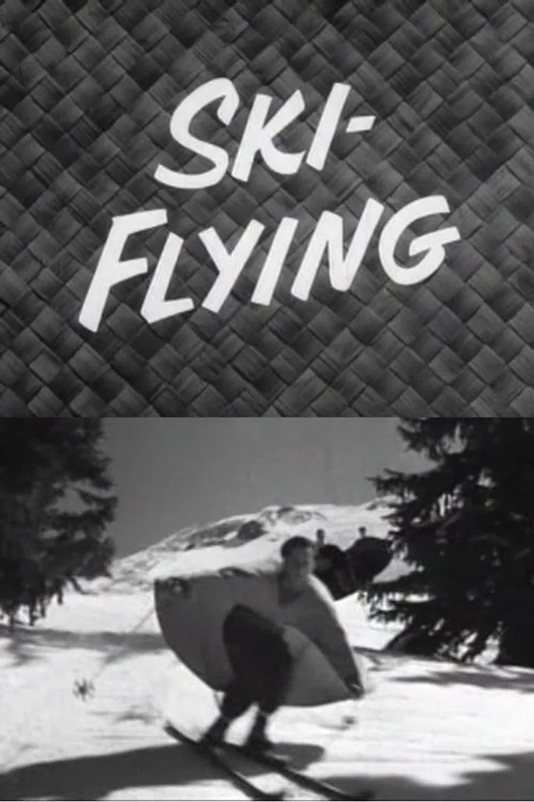 Ski-Flying poster background