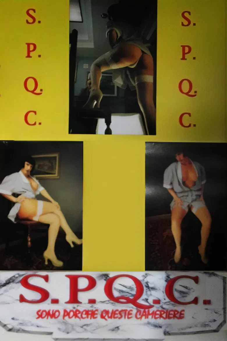 S.P.Q.C. Sono Porche Queste Cameriere poster background