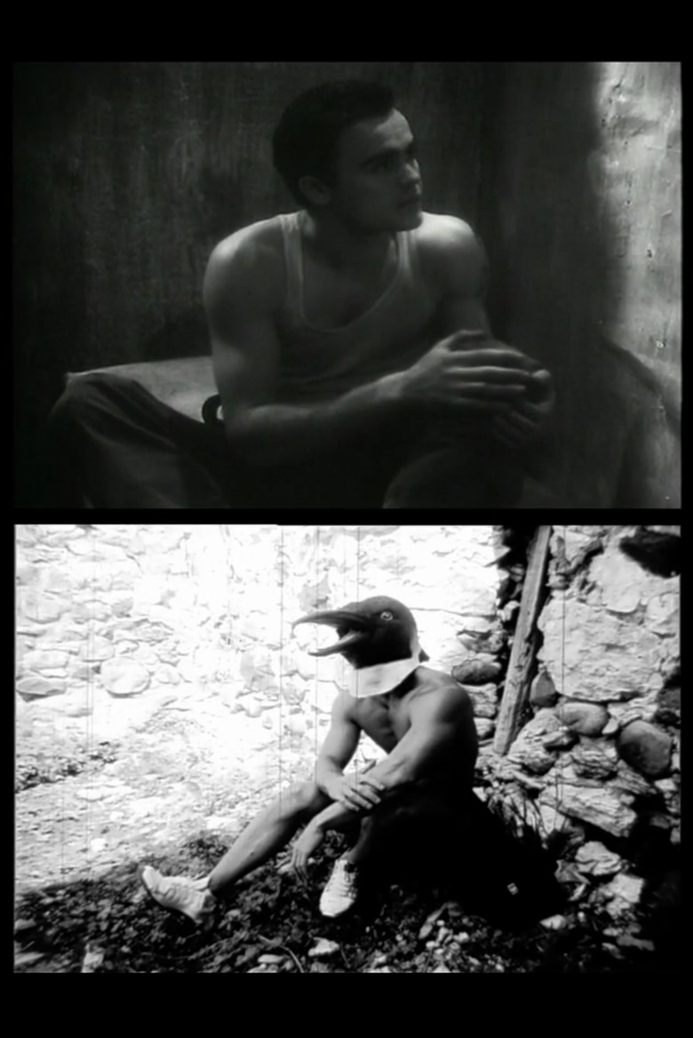 Captifs d'amour poster background